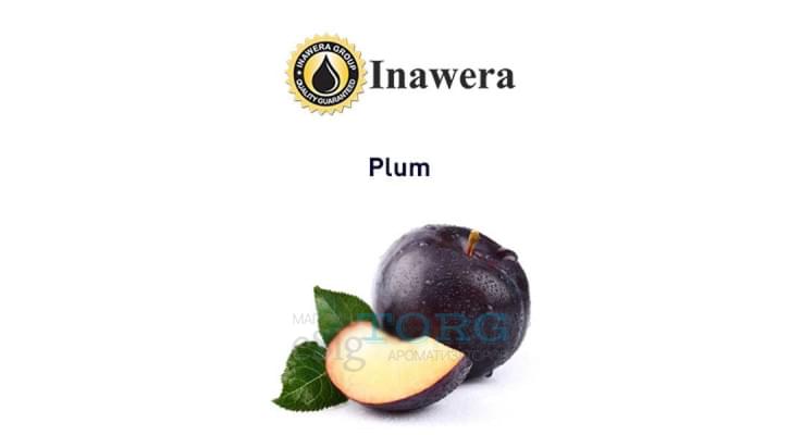 Ароматизатор Inawera Plum