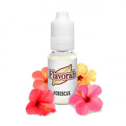 Hibiscus Flavorah