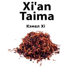 CamelXi Xian Taima